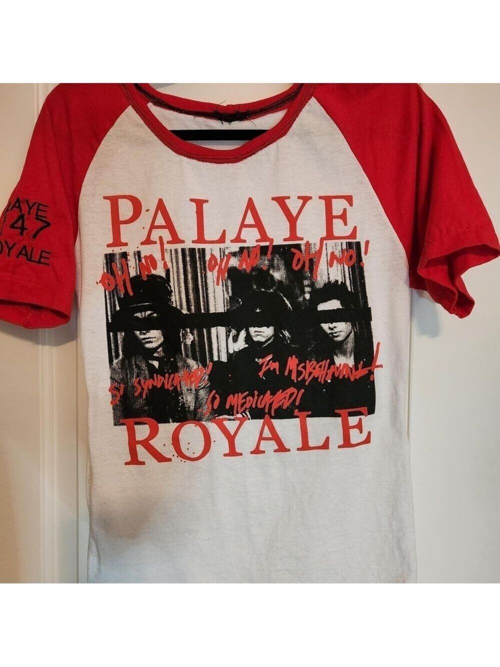 Custom Palaye Royale Tshirt
